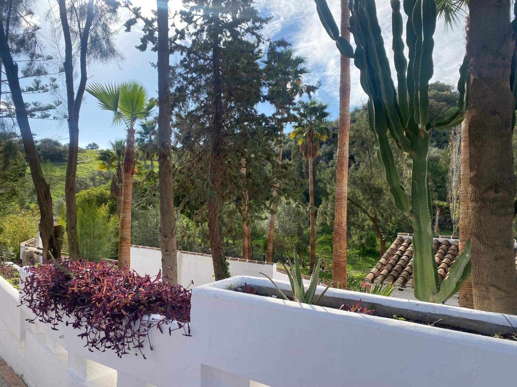 Malaga Sierra De Las Nieves By Real Spain Hotels Adults Recommended Casarabonela Eksteriør bilde