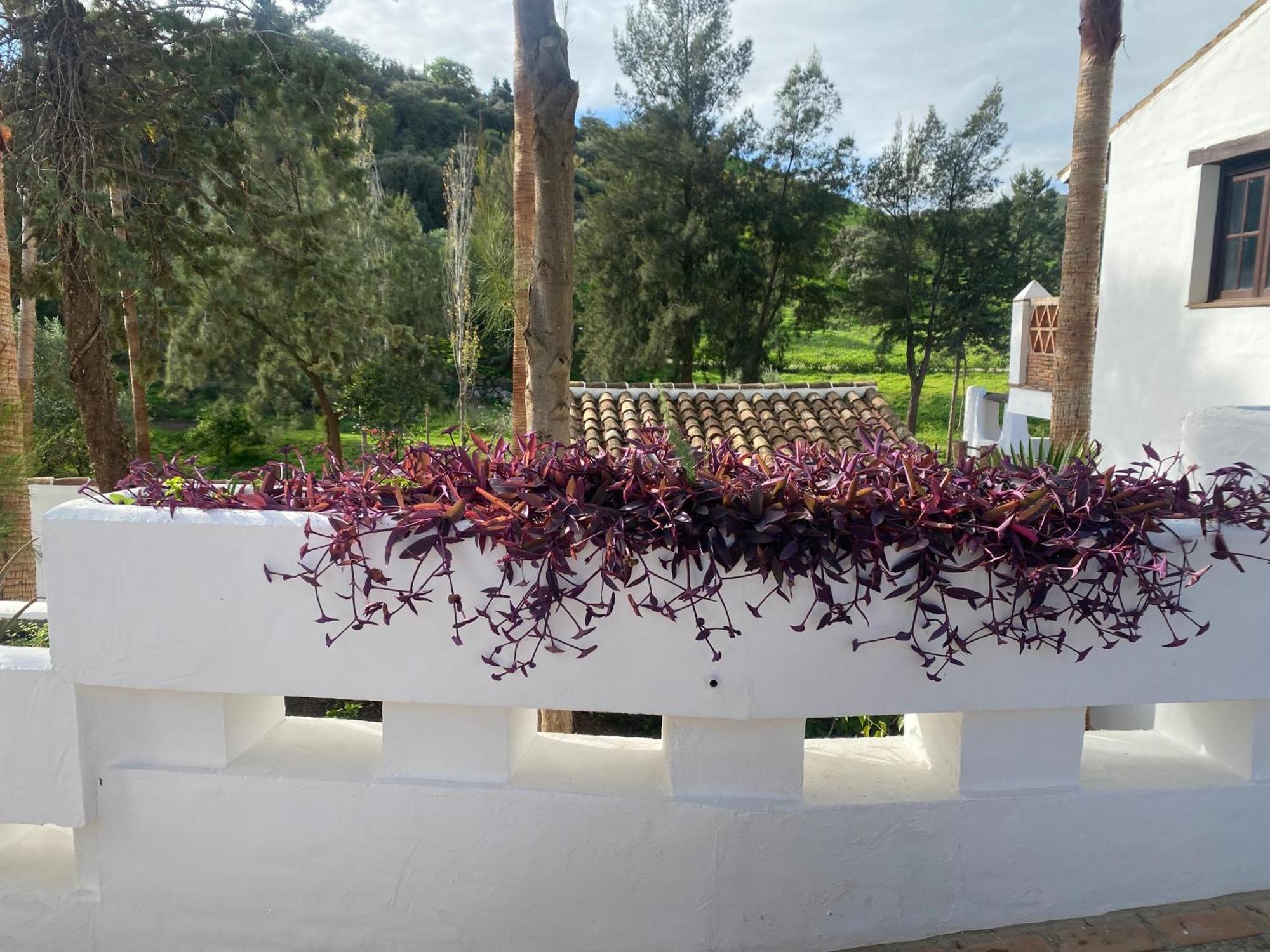 Malaga Sierra De Las Nieves By Real Spain Hotels Adults Recommended Casarabonela Eksteriør bilde